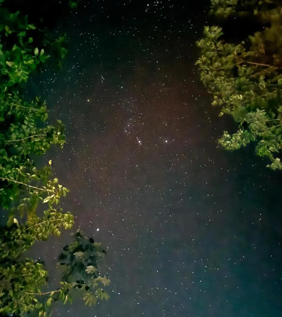 普拉亚卡门 Cenote Escondido酒店 墨西哥